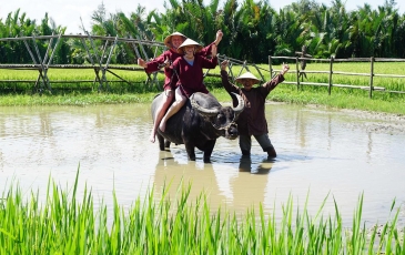 Top 5 trải nghiệm ở Hội An khiến khách Tây thích thú