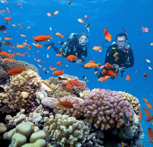 Amazing Experiences Traveling to Son Tra, Da Nang