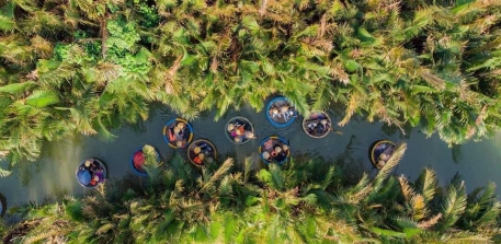 What's fun in the Bay Mau Coconut Forest?