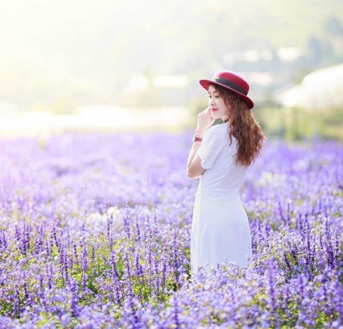 du lịch đà lạt - phú minh quang travel