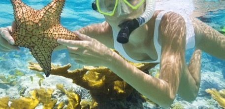 Bãi Cát Vàng Đà Nẵng - Phú Minh Quang Travel