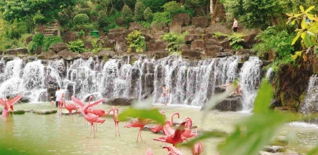 Suối Mơ Đà Nẵng - Phú Minh Quang Travel