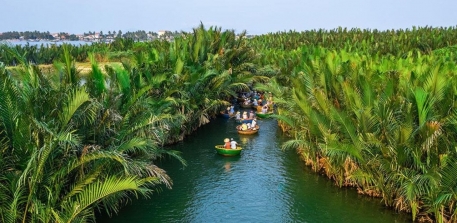 Giải Đáp Thắc Mắc - Rừng Dừa Đà Nẵng Hay Rừng Dừa Hội An?