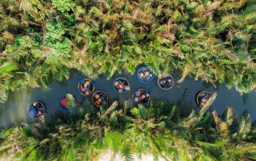 Rừng dừa 7 mẫu Đà Nẵng hay Hội An? Có gì thú vị ở rừng dừa Bảy Mẫu