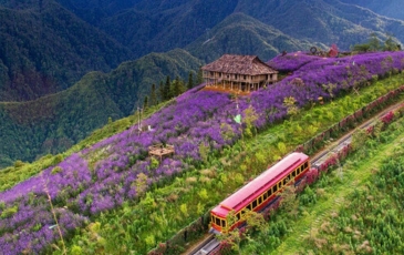 Gợi Ý Top 5 Địa Điểm Du Lịch Sapa Hot Nhất 2024