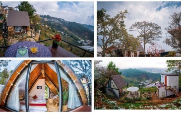 homestay đà lạt giá rẻ phú minh quang