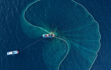 Top 10 Địa Điểm Check In Cực Ảo Tại Phú Yên Mà Bạn Không Nên Bỏ Qua