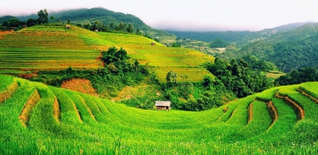 Khám phá vẻ đẹp vòng cung Tây Bắc Việt Nam