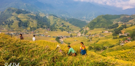 Đến SAPA mùa thu có gì đặc biệt?