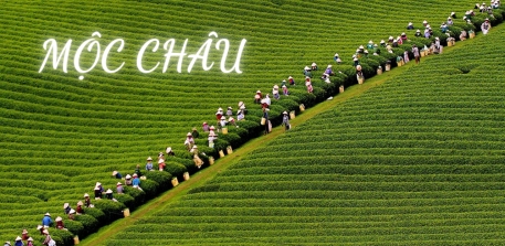 CẨM NANG DU LỊCH MỘC CHÂU TỪ A-Z
