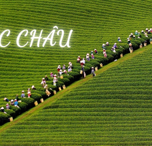 CẨM NANG DU LỊCH MỘC CHÂU TỪ A-Z