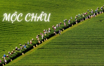 CẨM NANG DU LỊCH MỘC CHÂU TỪ A-Z