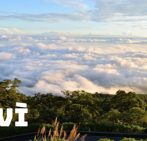 Cẩm Nang Du Lịch Ba Vì