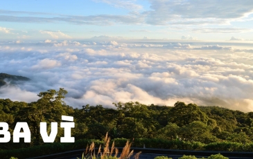 Cẩm Nang Du Lịch Ba Vì