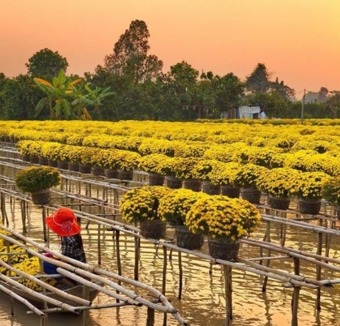 TOP 10 LÀNG NGHỀ TRUYỀN THỐNG TẠI ĐỒNG BẰNG SÔNG CỬU LONG