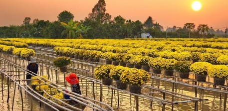 TOP 10 LÀNG NGHỀ TRUYỀN THỐNG TẠI ĐỒNG BẰNG SÔNG CỬU LONG