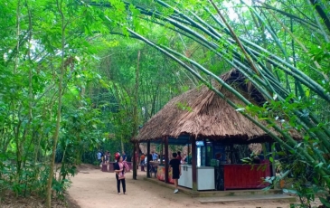 The Attraction of Cu Chi Tunnels for Indian Tourists