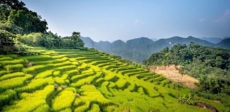 Pù Luông