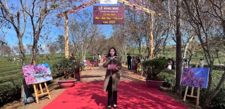 Cherry Blossom Festival 2026