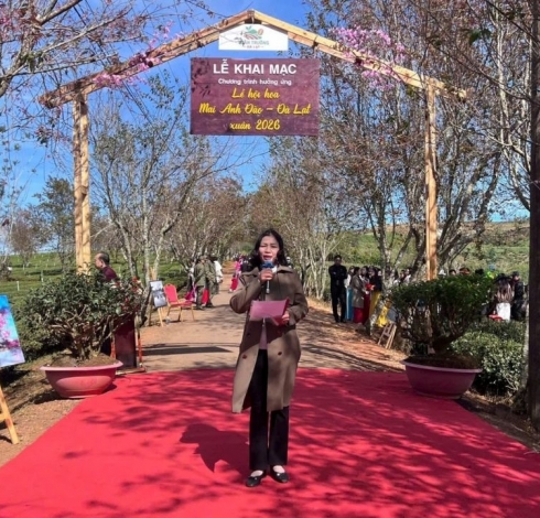 Cherry Blossom Festival 2026