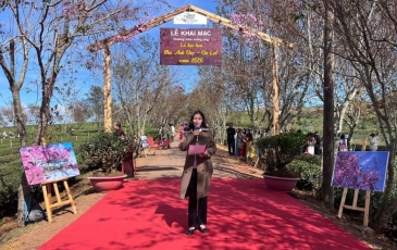 Cherry Blossom Festival 2026 - Most Exciting Spring Event