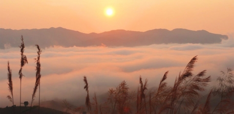 doi-vo-uu-lam-dong
