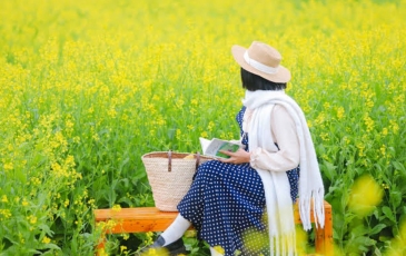 The Season Of Yellow Mustard Flowers In Moc Chau, Vietnam