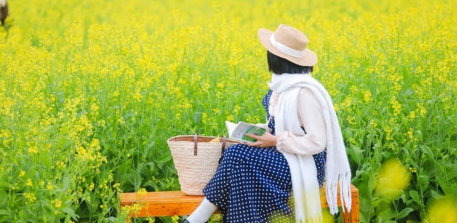 The Season Of Yellow Mustard Flowers In Moc Chau, Vietnam