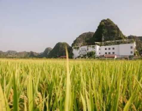 Liberty Hall Tam Coc Hotel & Villaư