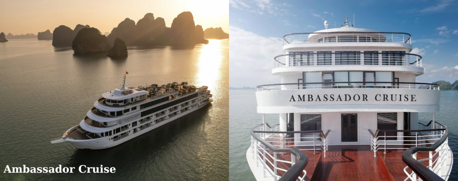 Ambassador Cruise