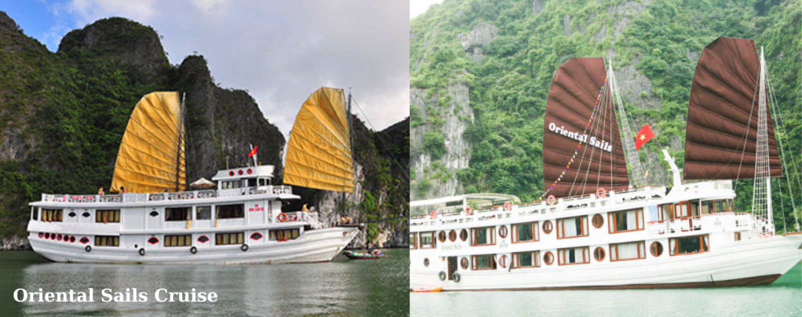 Oriental Sails Cruise