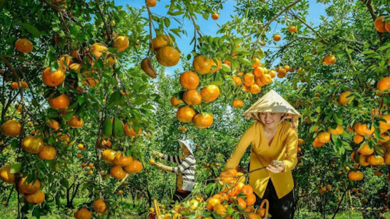 Mekong Delta