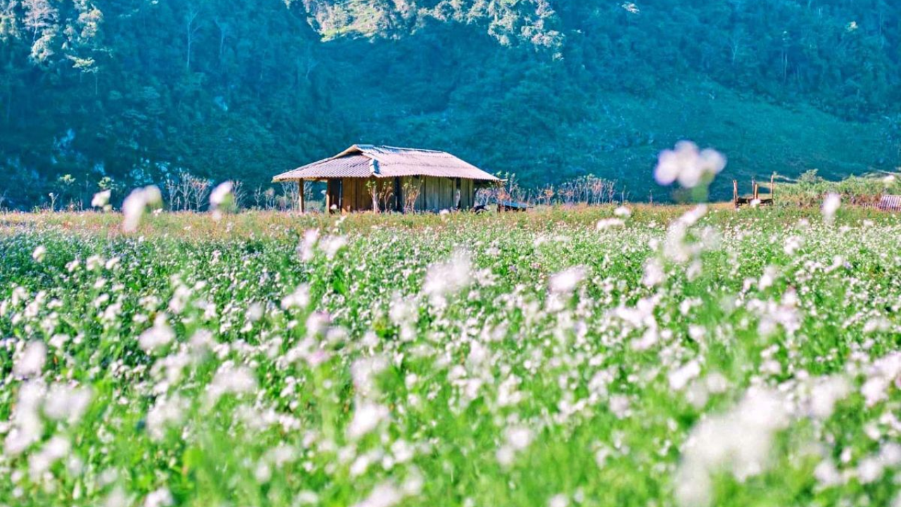 TOP 5 SUMMER TRAVEL DESTINATIONS IN NORTHERN VIETNAM