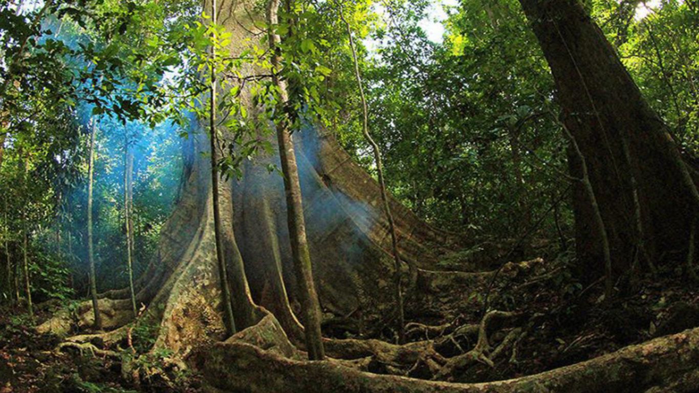 Top Things To Do In Vietnam For Indian Travelers