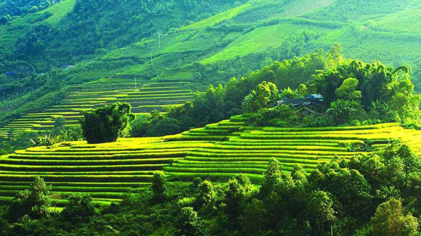 Top Things To Do In Vietnam For Indian Travelers