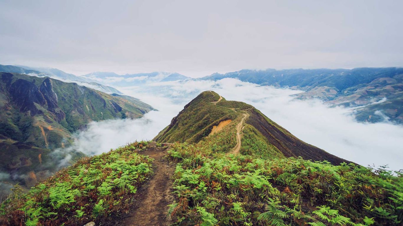 Top Things To Do In Vietnam For Indian Travelers