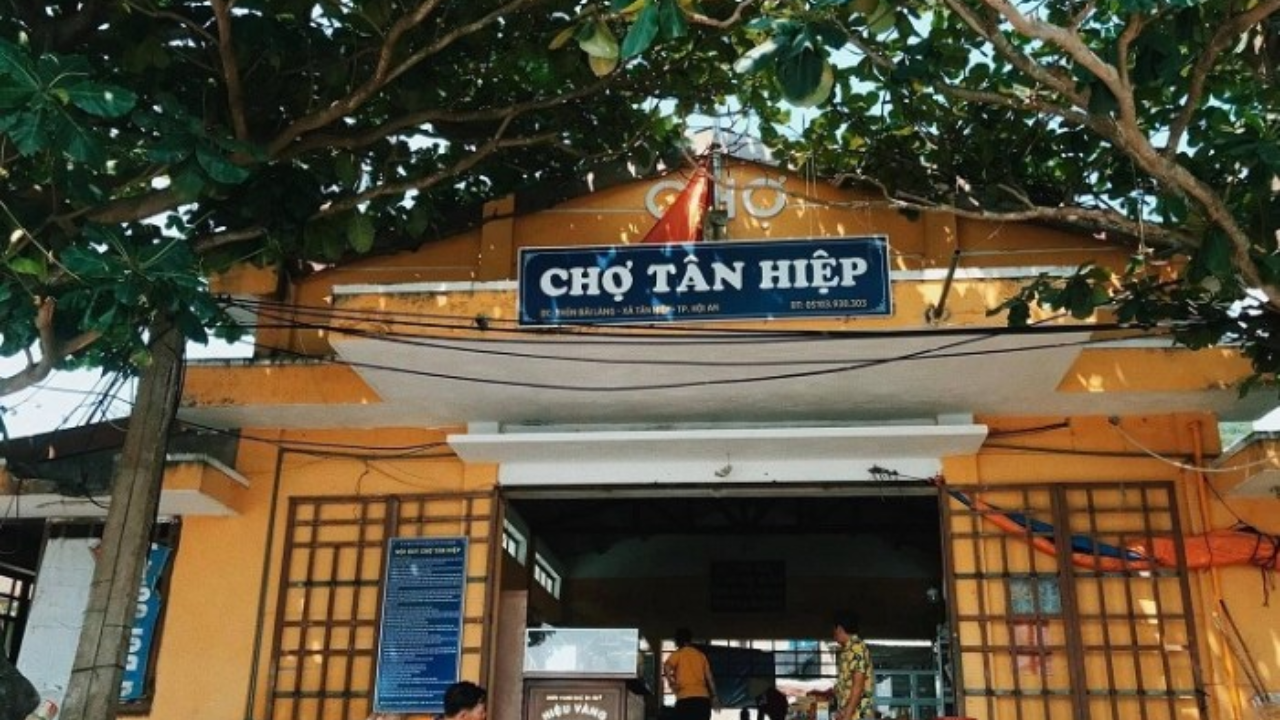 Travel Guide Cu Lao Cham