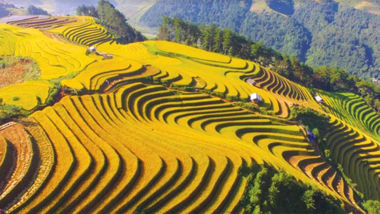 VietNam travel 