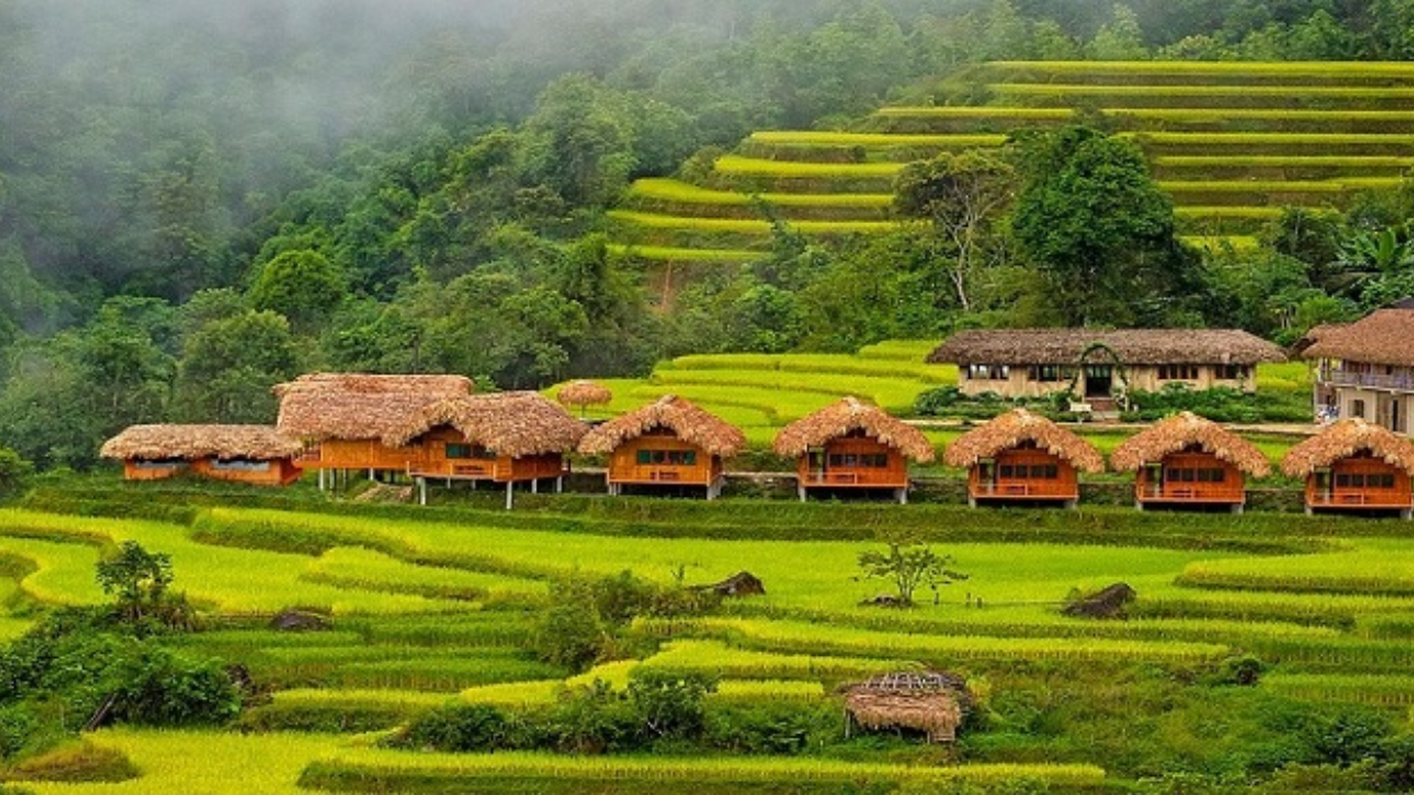 VietNam Travel 
