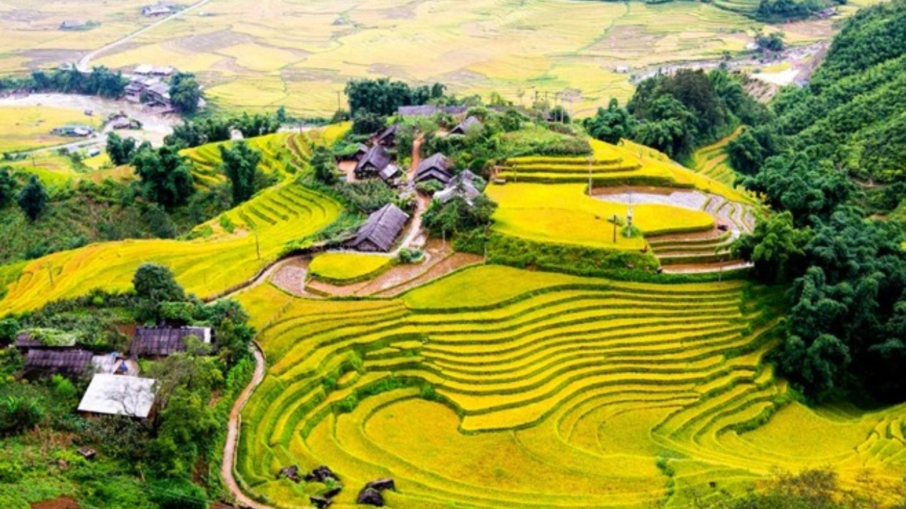 VietNam travel 