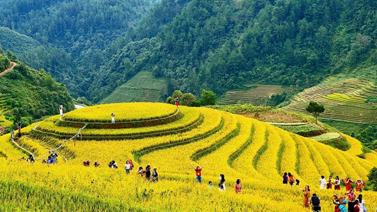 VietNam Travel 