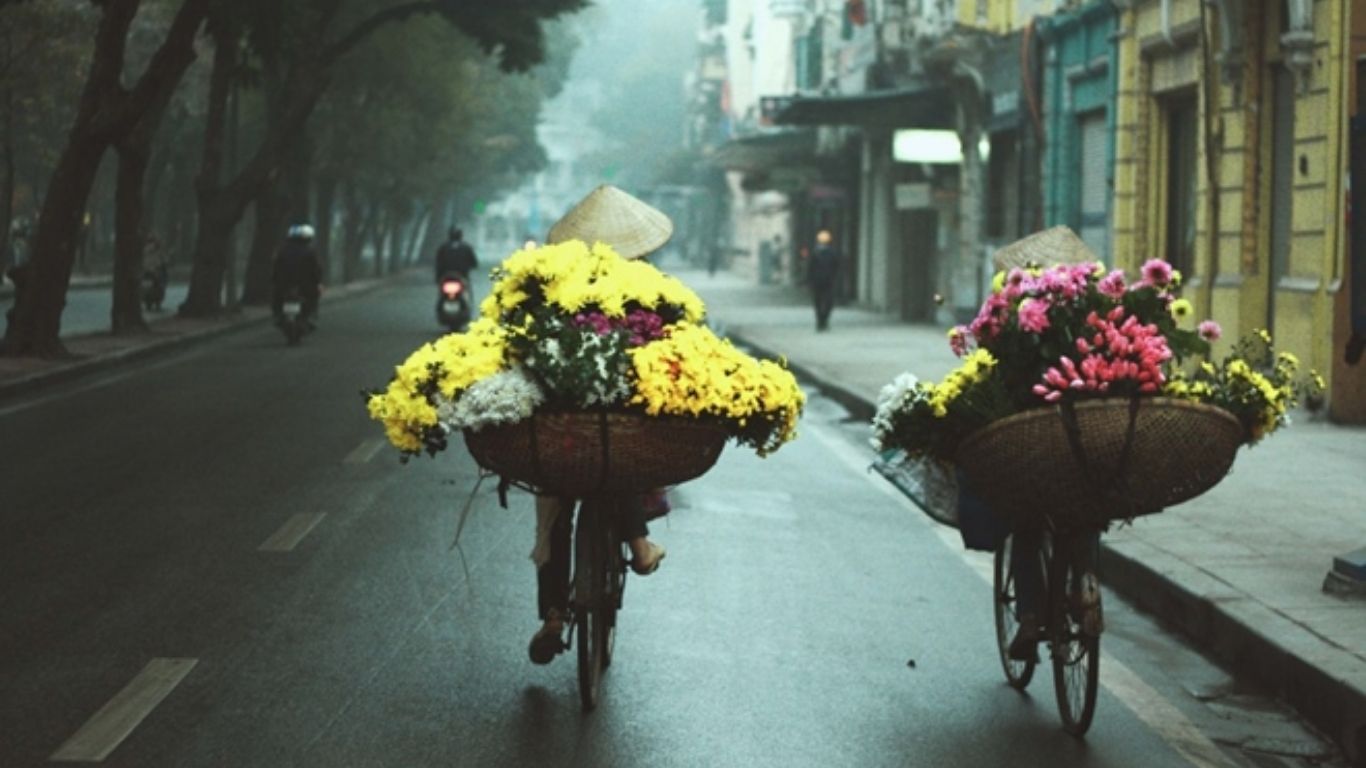 When is the Best Time to Visit Vietnam?
