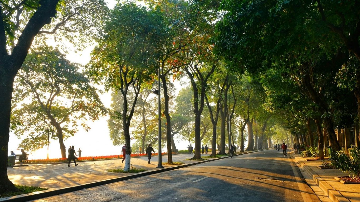 When is the Best Time to Visit Vietnam?