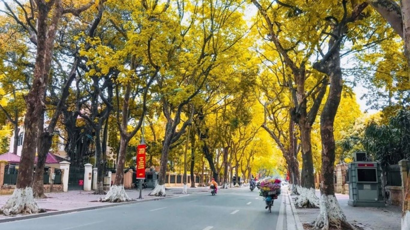 When is the Best Time to Visit Vietnam?