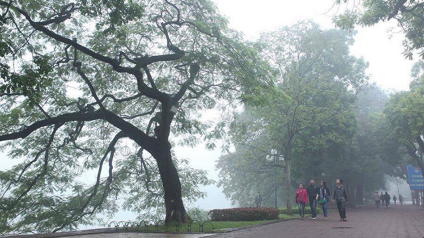 When is the Best Time to Visit Vietnam?