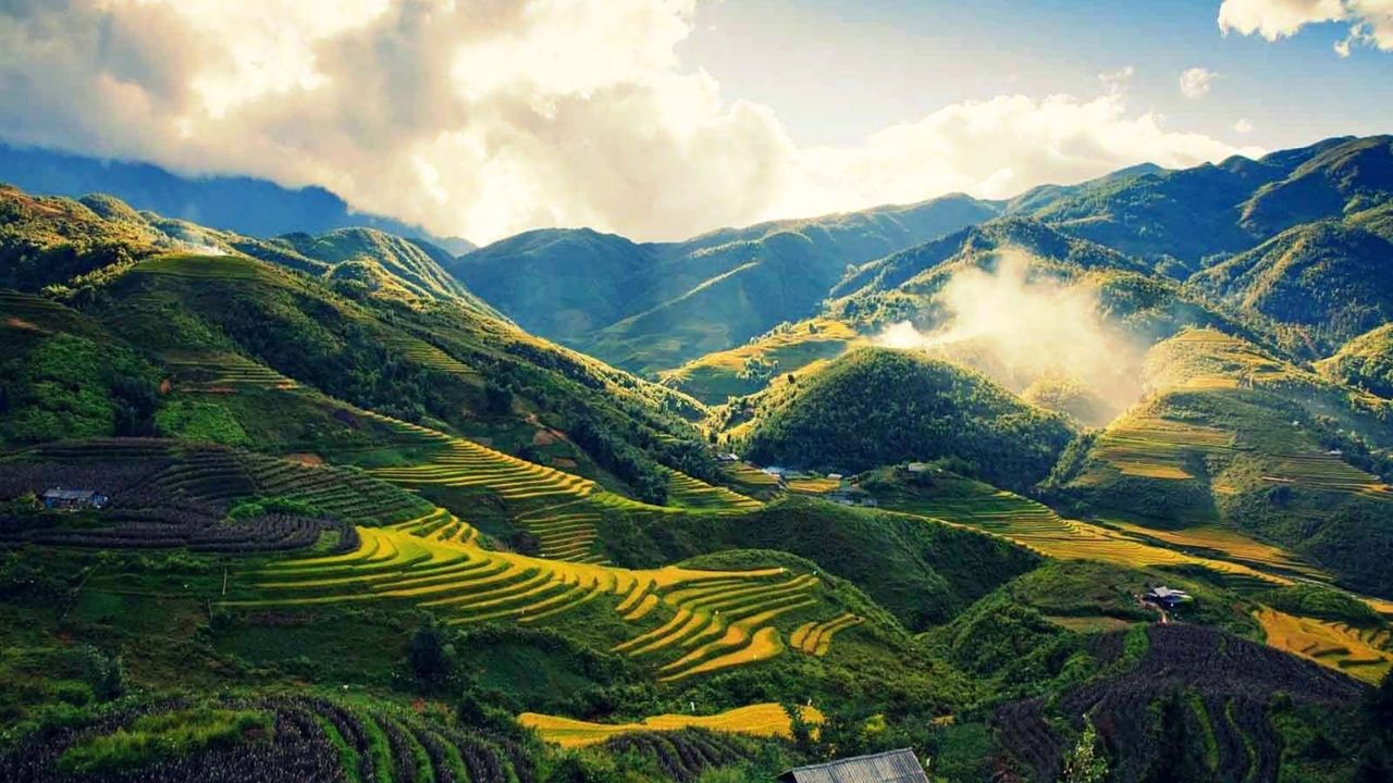 Admire the panoramic view of Muong Hoa valley and terraced fields