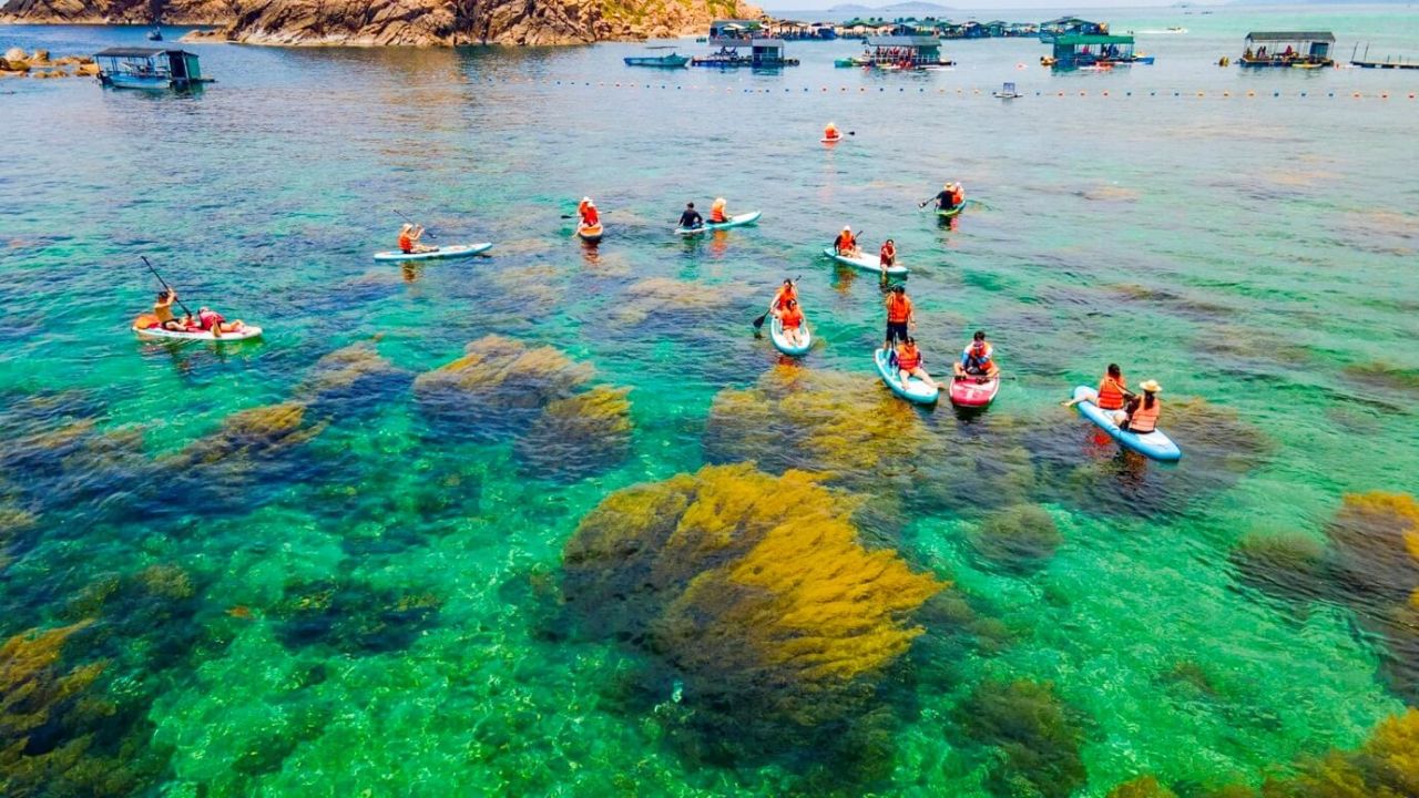 Experience Discovering the Coastal City of Quy Nhon