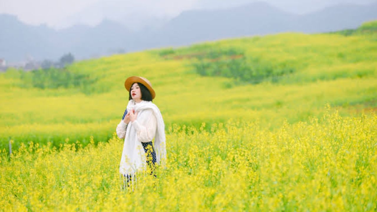 Experience Loi Tuoi Farm/Van Son for The season of yellow mustard flowers
