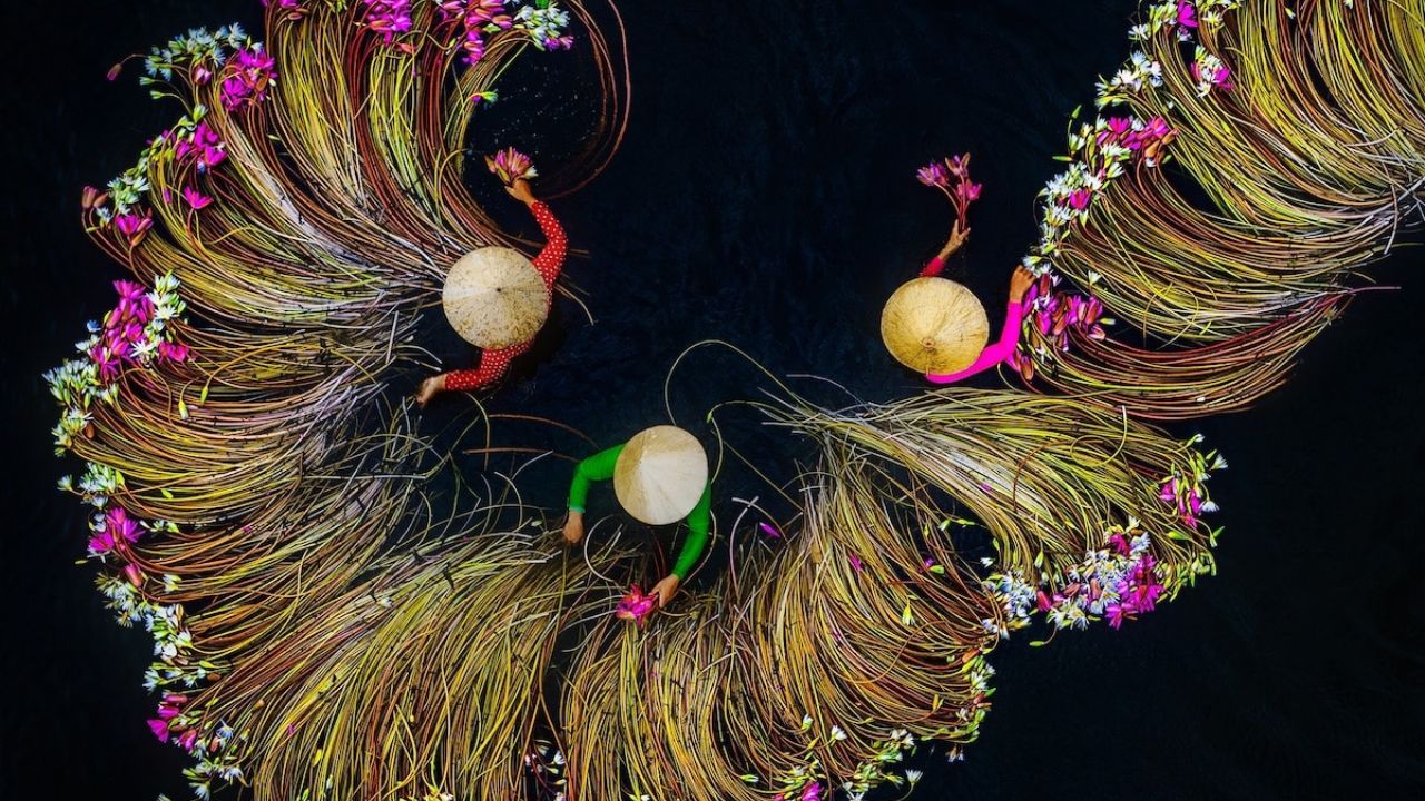 Khám phá vẻ đẹp của mùa hoa súng Tây Ninh