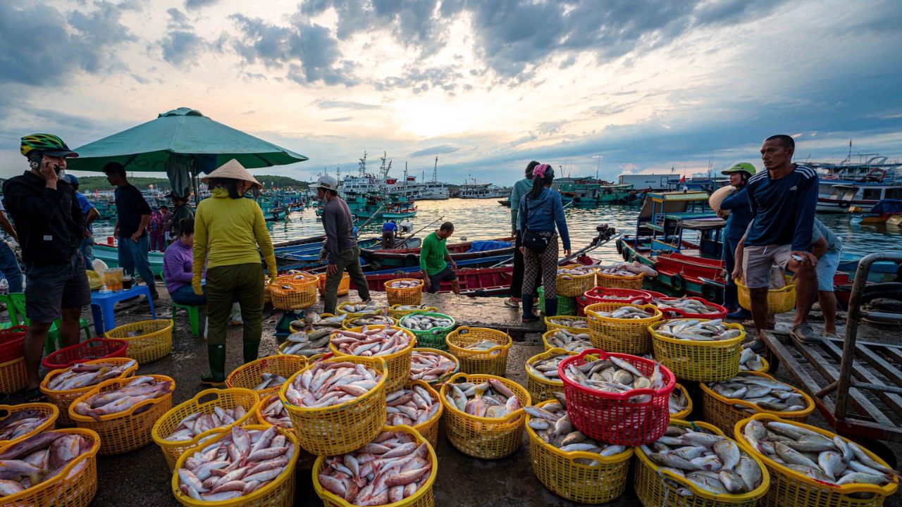 Làng chài An Thới điểm đến hot nhất tại khu vực phía Nam đảo Phú Quốc
